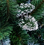 choinka na pniu diamentowa 8