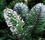 choinka na pniu diamentowa 7