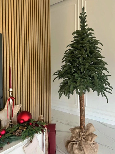 Jodła Hiszpańska na pniu 100% PE – widok całej choinki